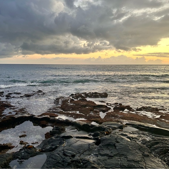 Meet your Posher, Laura - Picture 7 of 9